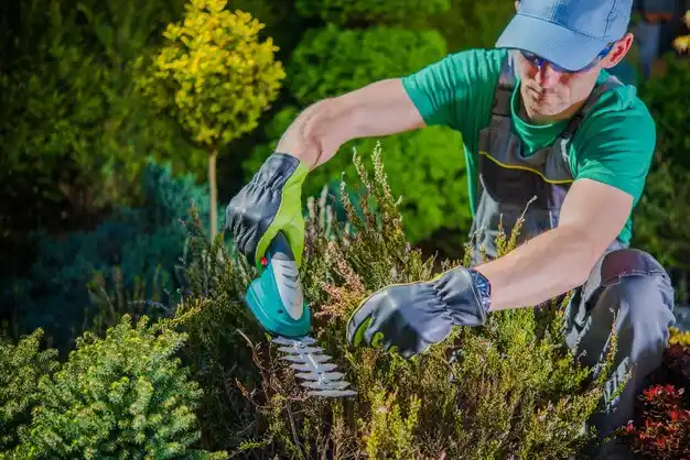 landscaping services Carleton
